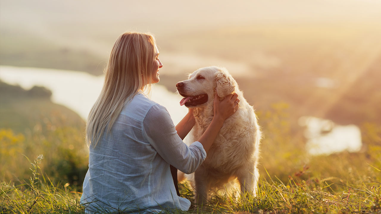 Tips och idéer för en hälsosam livsstil för husdjur